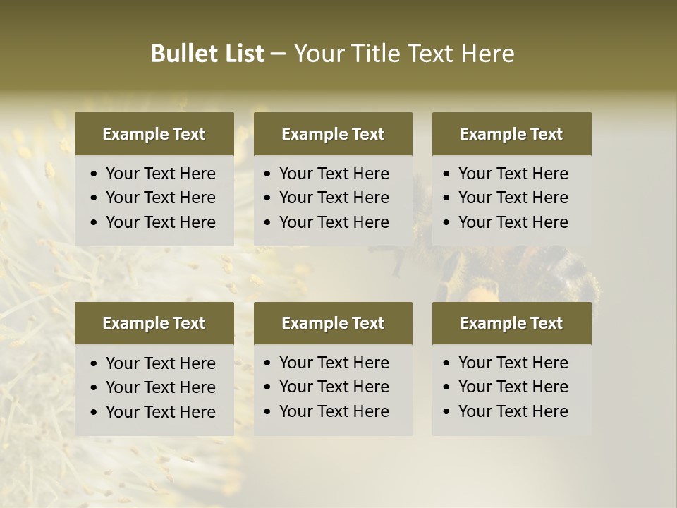 A Bee Hovering While Collecting Pollen From Pussy Willow Blossom. Hairs On Bee Are Covered In Yellow Pollen As Are It's Legs. PowerPoint Template