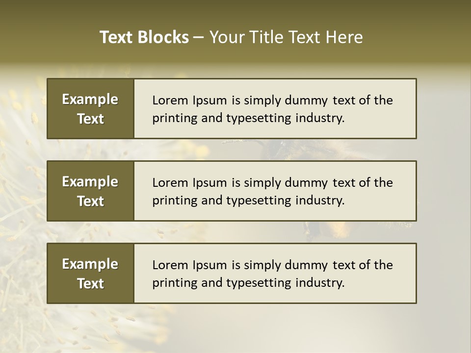 A Bee Hovering While Collecting Pollen From Pussy Willow Blossom. Hairs On Bee Are Covered In Yellow Pollen As Are It's Legs. PowerPoint Template