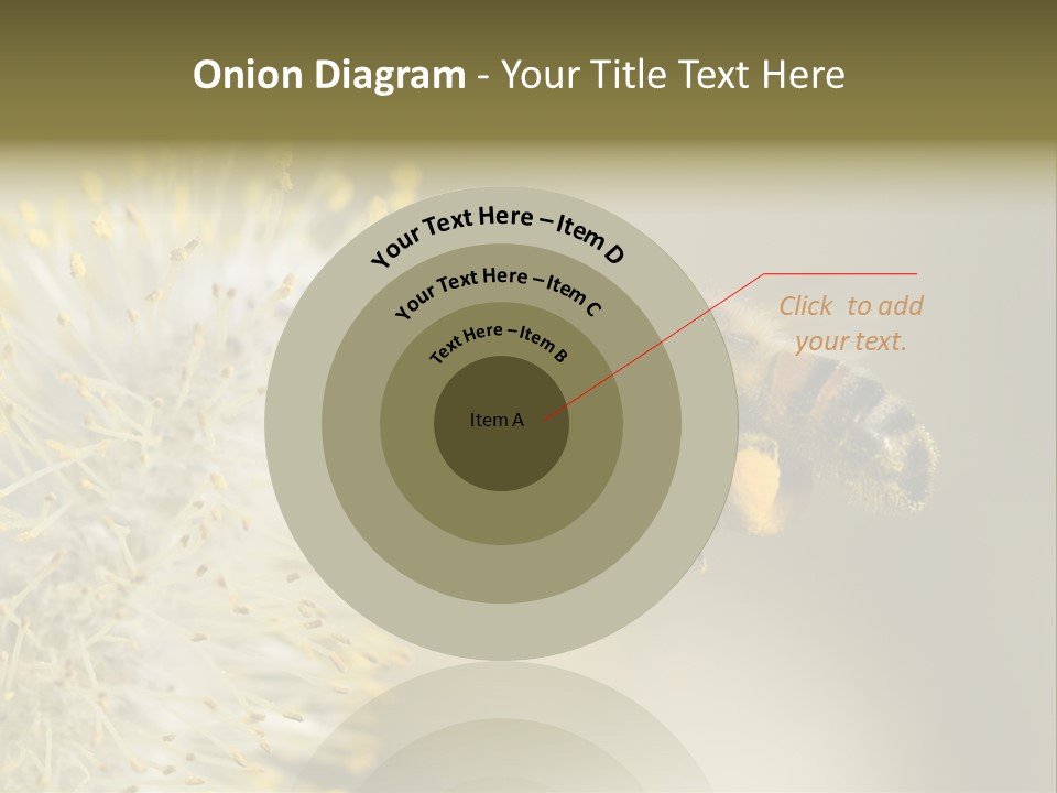 A Bee Hovering While Collecting Pollen From Pussy Willow Blossom. Hairs On Bee Are Covered In Yellow Pollen As Are It's Legs. PowerPoint Template