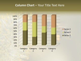A Bee Hovering While Collecting Pollen From Pussy Willow Blossom. Hairs On Bee Are Covered In Yellow Pollen As Are It's Legs. PowerPoint Template