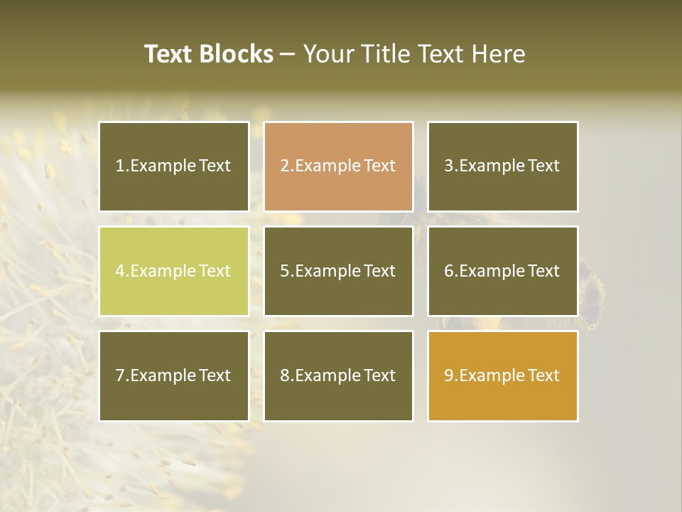 A Bee Hovering While Collecting Pollen From Pussy Willow Blossom. Hairs On Bee Are Covered In Yellow Pollen As Are It's Legs. PowerPoint Template