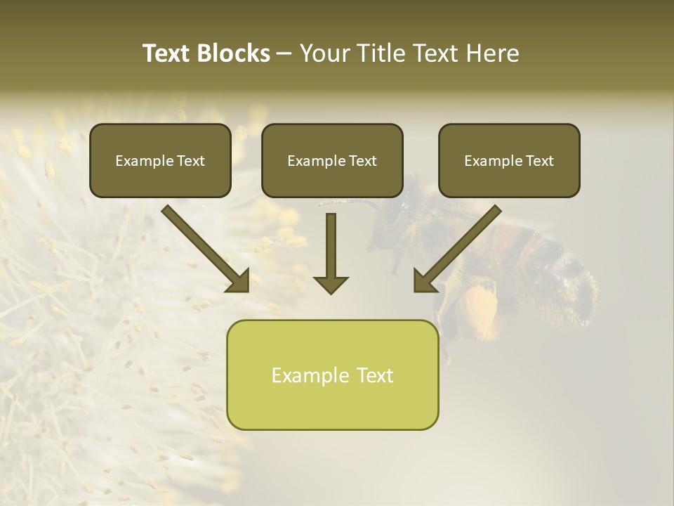 A Bee Hovering While Collecting Pollen From Pussy Willow Blossom. Hairs On Bee Are Covered In Yellow Pollen As Are It's Legs. PowerPoint Template