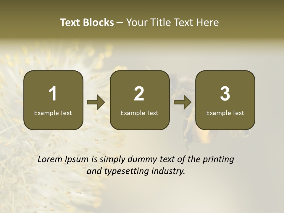 A Bee Hovering While Collecting Pollen From Pussy Willow Blossom. Hairs On Bee Are Covered In Yellow Pollen As Are It's Legs. PowerPoint Template