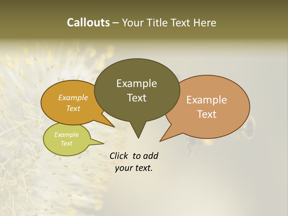A Bee Hovering While Collecting Pollen From Pussy Willow Blossom. Hairs On Bee Are Covered In Yellow Pollen As Are It's Legs. PowerPoint Template