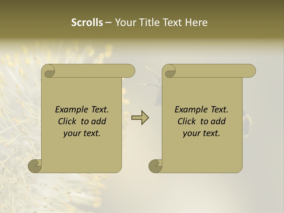 A Bee Hovering While Collecting Pollen From Pussy Willow Blossom. Hairs On Bee Are Covered In Yellow Pollen As Are It's Legs. PowerPoint Template