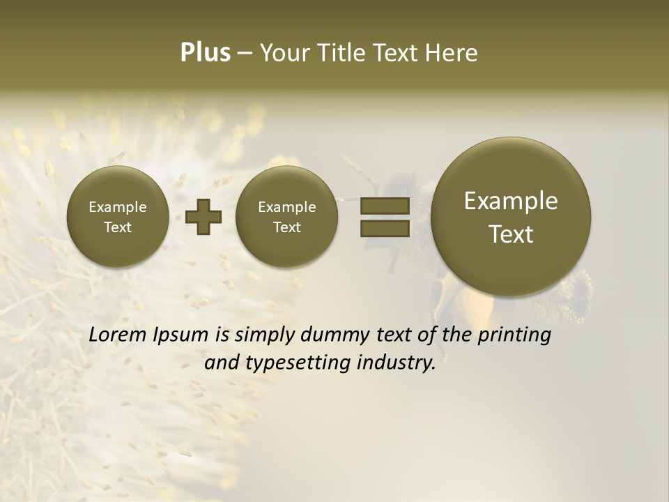 A Bee Hovering While Collecting Pollen From Pussy Willow Blossom. Hairs On Bee Are Covered In Yellow Pollen As Are It's Legs. PowerPoint Template