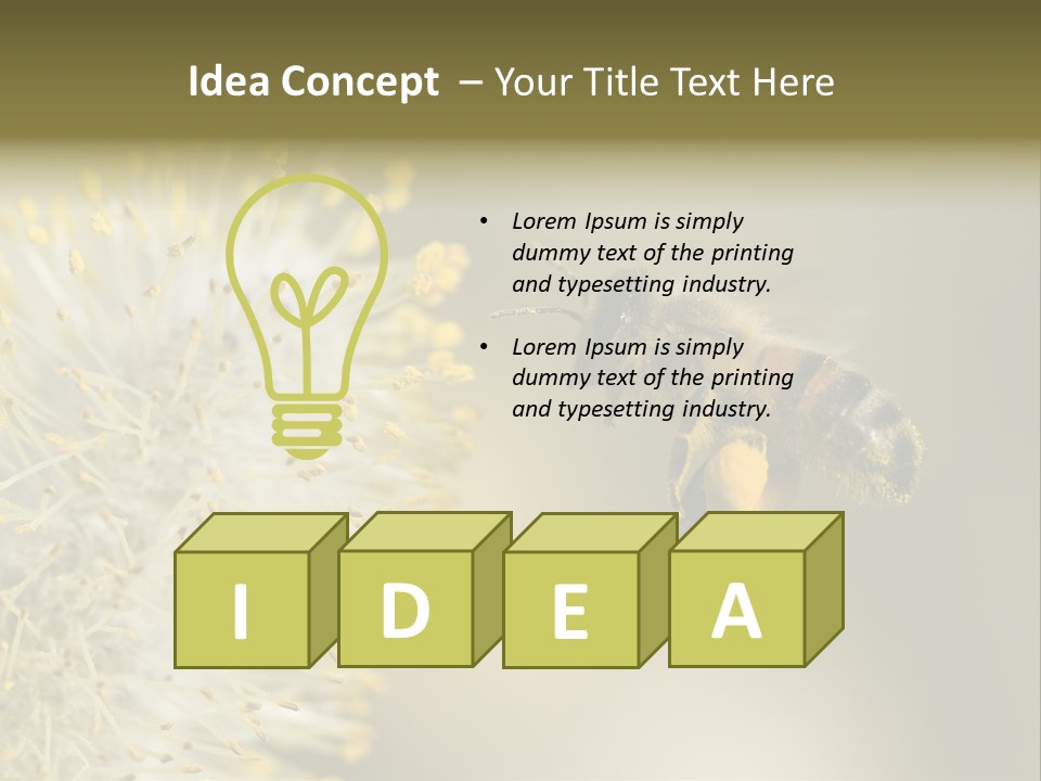 A Bee Hovering While Collecting Pollen From Pussy Willow Blossom. Hairs On Bee Are Covered In Yellow Pollen As Are It's Legs. PowerPoint Template