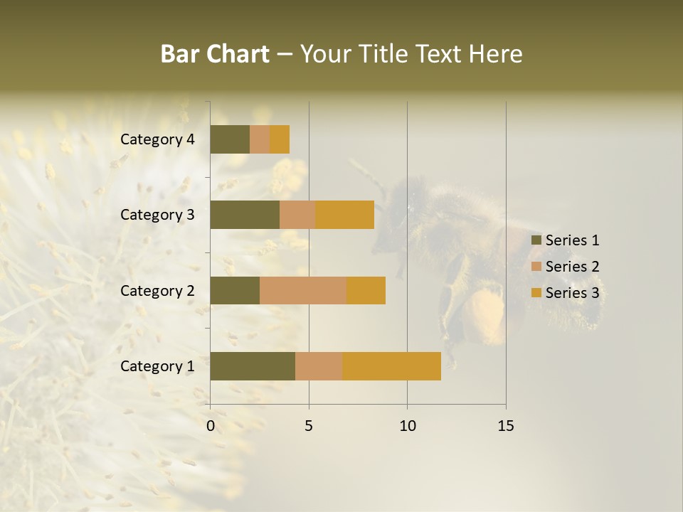 A Bee Hovering While Collecting Pollen From Pussy Willow Blossom. Hairs On Bee Are Covered In Yellow Pollen As Are It's Legs. PowerPoint Template