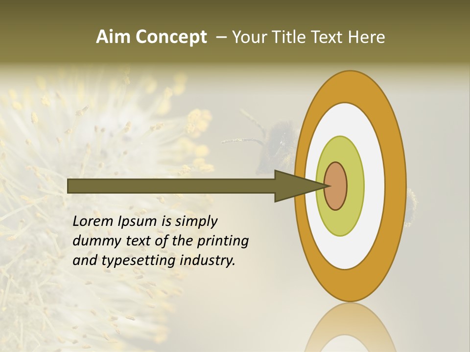 A Bee Hovering While Collecting Pollen From Pussy Willow Blossom. Hairs On Bee Are Covered In Yellow Pollen As Are It's Legs. PowerPoint Template