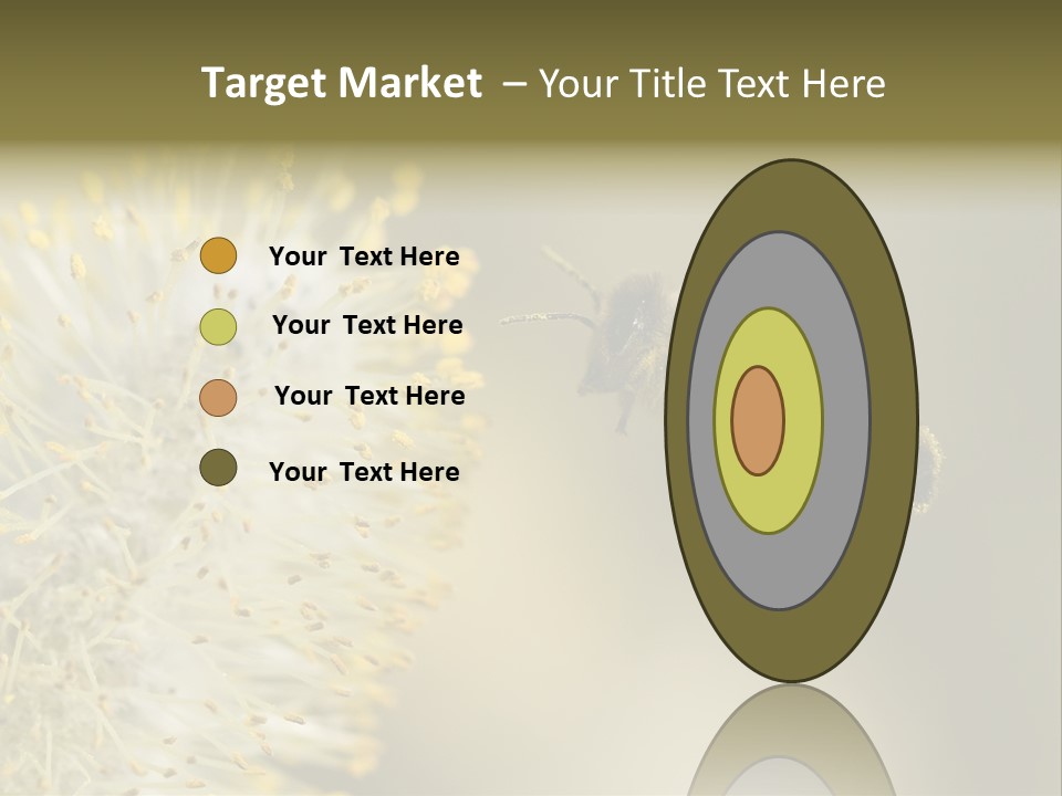 A Bee Hovering While Collecting Pollen From Pussy Willow Blossom. Hairs On Bee Are Covered In Yellow Pollen As Are It's Legs. PowerPoint Template