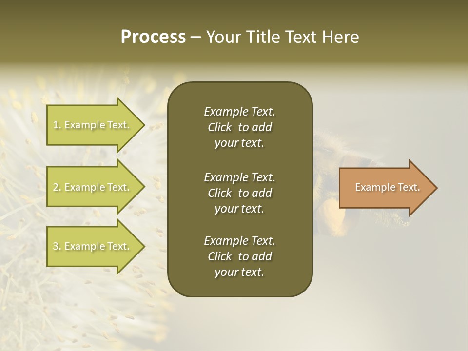 A Bee Hovering While Collecting Pollen From Pussy Willow Blossom. Hairs On Bee Are Covered In Yellow Pollen As Are It's Legs. PowerPoint Template