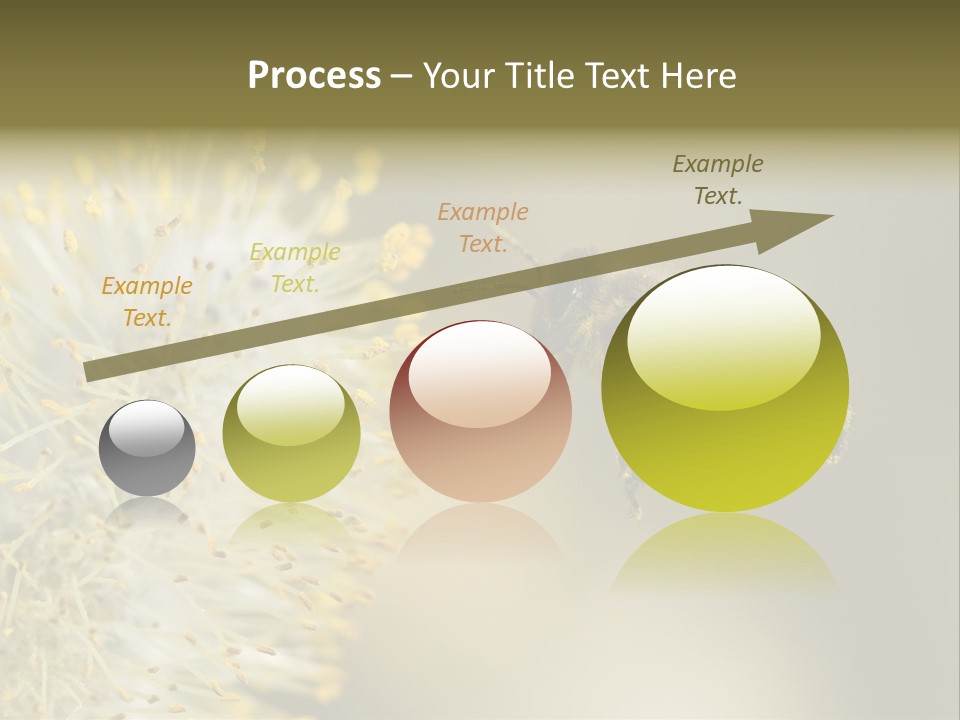 A Bee Hovering While Collecting Pollen From Pussy Willow Blossom. Hairs On Bee Are Covered In Yellow Pollen As Are It's Legs. PowerPoint Template