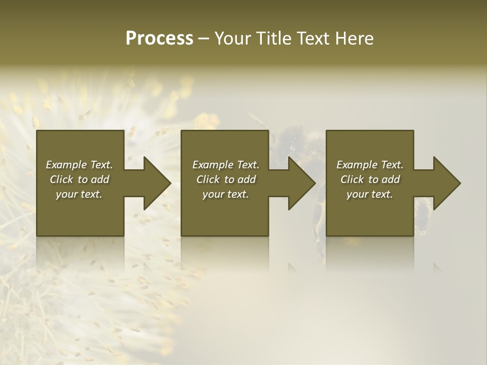 A Bee Hovering While Collecting Pollen From Pussy Willow Blossom. Hairs On Bee Are Covered In Yellow Pollen As Are It's Legs. PowerPoint Template
