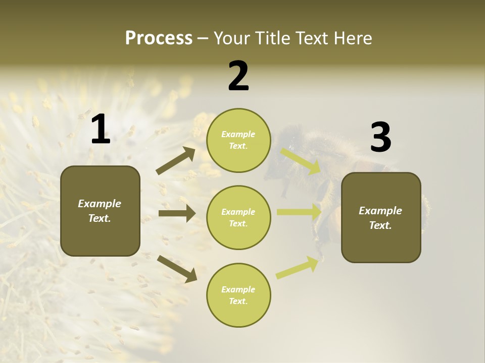 A Bee Hovering While Collecting Pollen From Pussy Willow Blossom. Hairs On Bee Are Covered In Yellow Pollen As Are It's Legs. PowerPoint Template