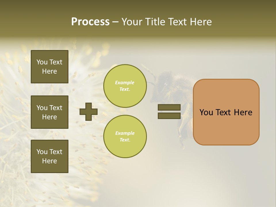 A Bee Hovering While Collecting Pollen From Pussy Willow Blossom. Hairs On Bee Are Covered In Yellow Pollen As Are It's Legs. PowerPoint Template