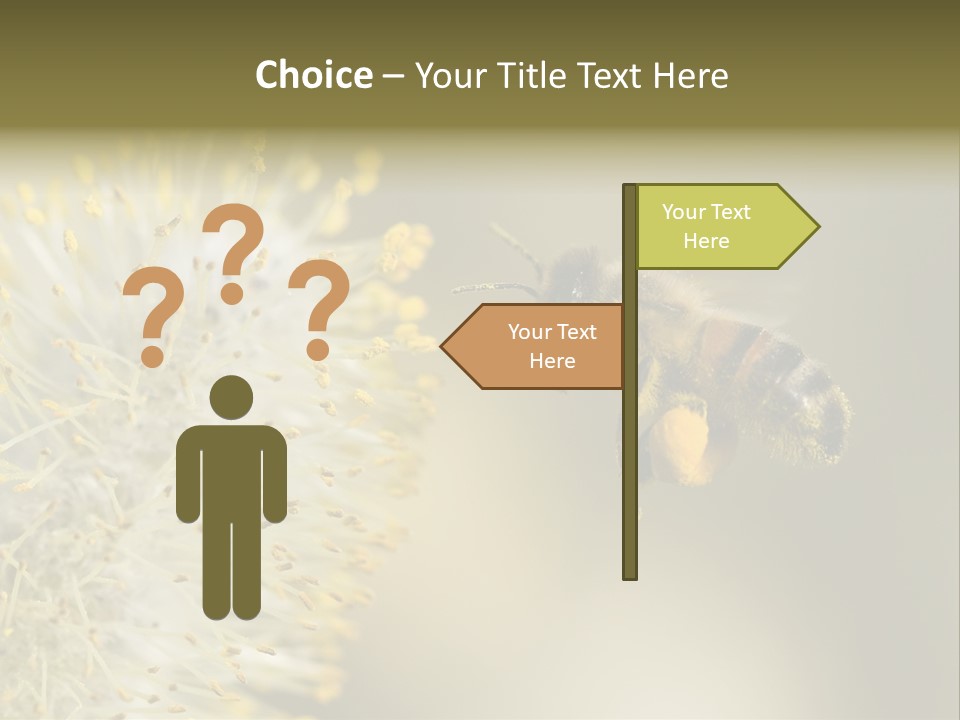 A Bee Hovering While Collecting Pollen From Pussy Willow Blossom. Hairs On Bee Are Covered In Yellow Pollen As Are It's Legs. PowerPoint Template