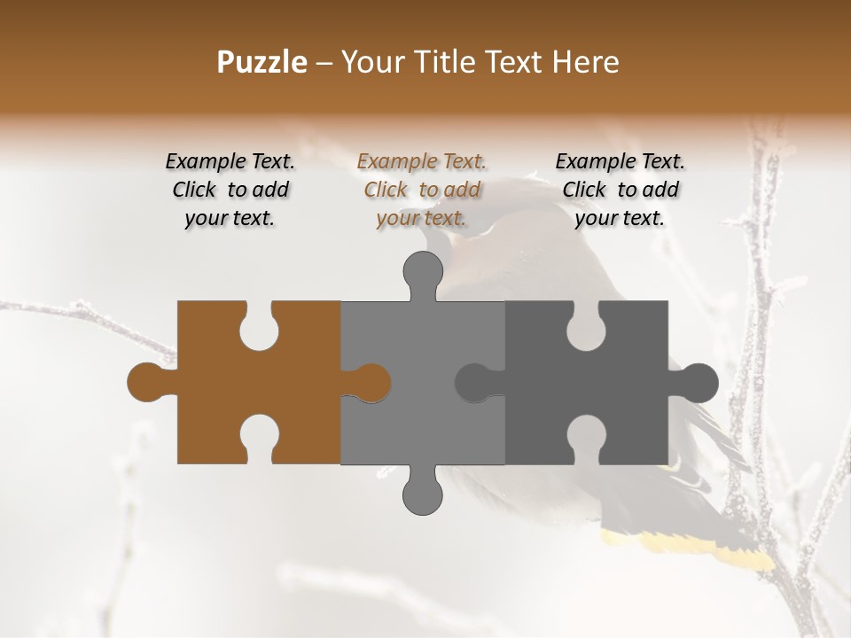 Waxwing PowerPoint Template