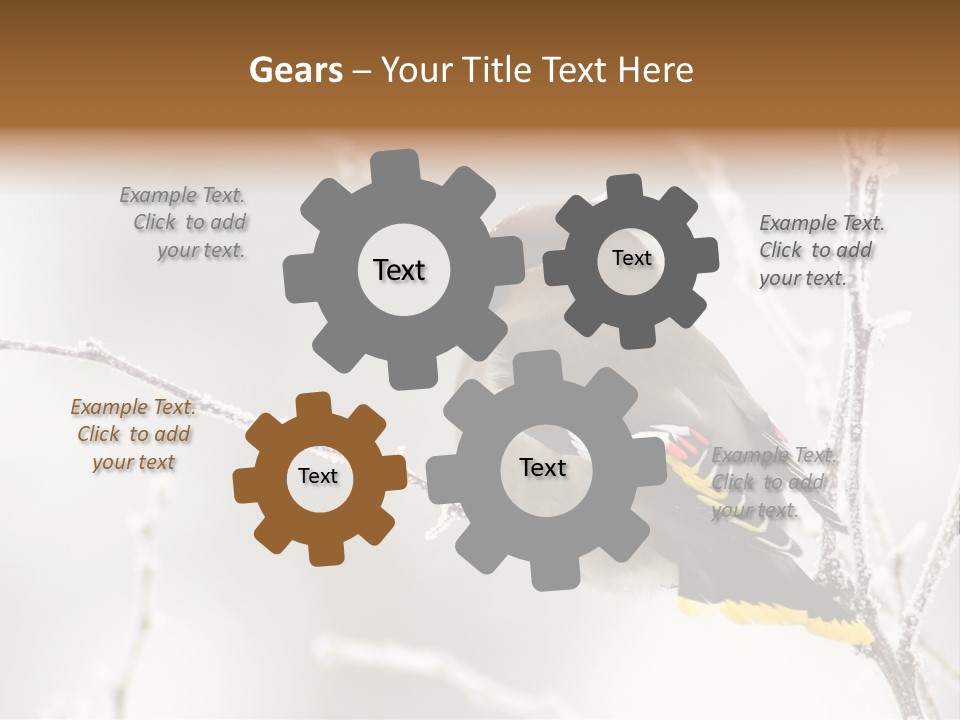 Waxwing PowerPoint Template