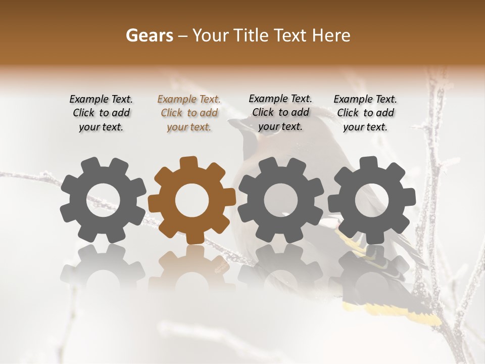 Waxwing PowerPoint Template