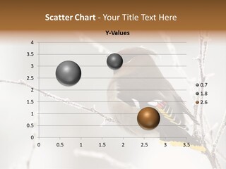 Waxwing PowerPoint Template