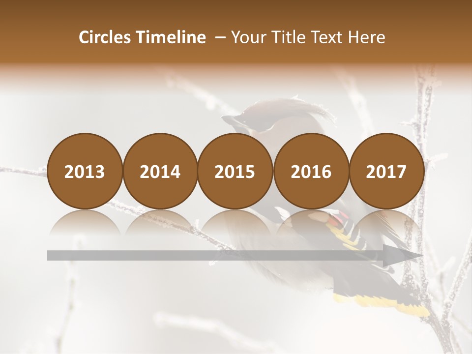 Waxwing PowerPoint Template