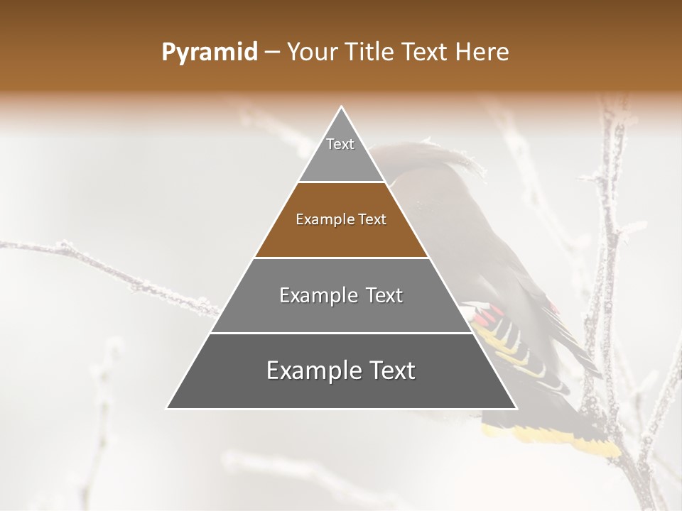 Waxwing PowerPoint Template