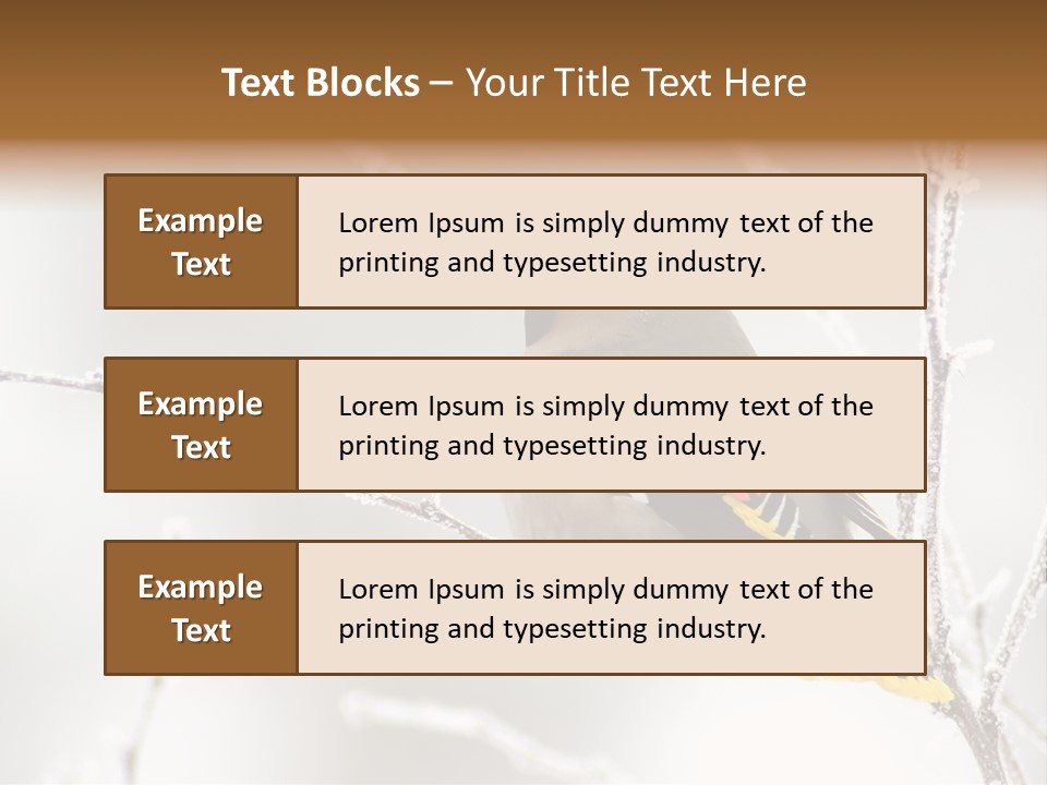 Waxwing PowerPoint Template
