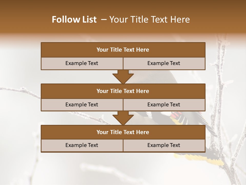 Waxwing PowerPoint Template