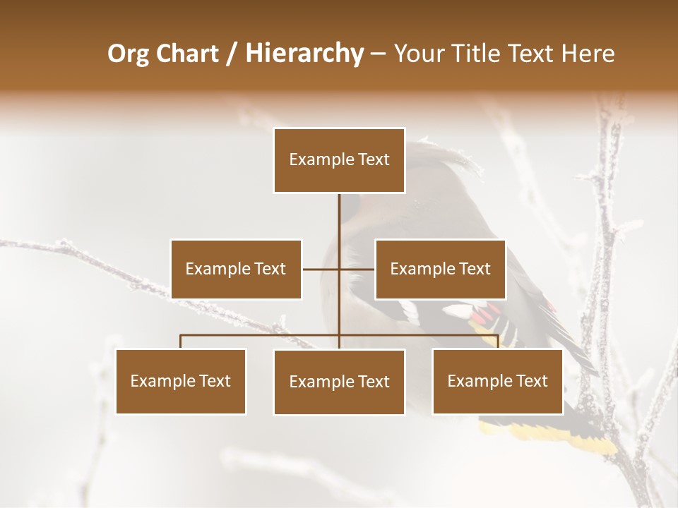 Waxwing PowerPoint Template