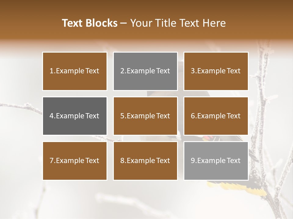 Waxwing PowerPoint Template