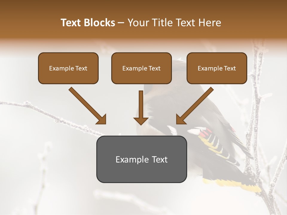 Waxwing PowerPoint Template