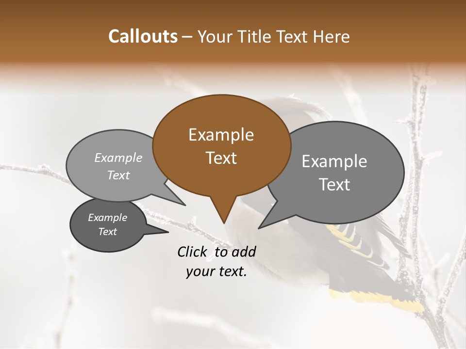 Waxwing PowerPoint Template