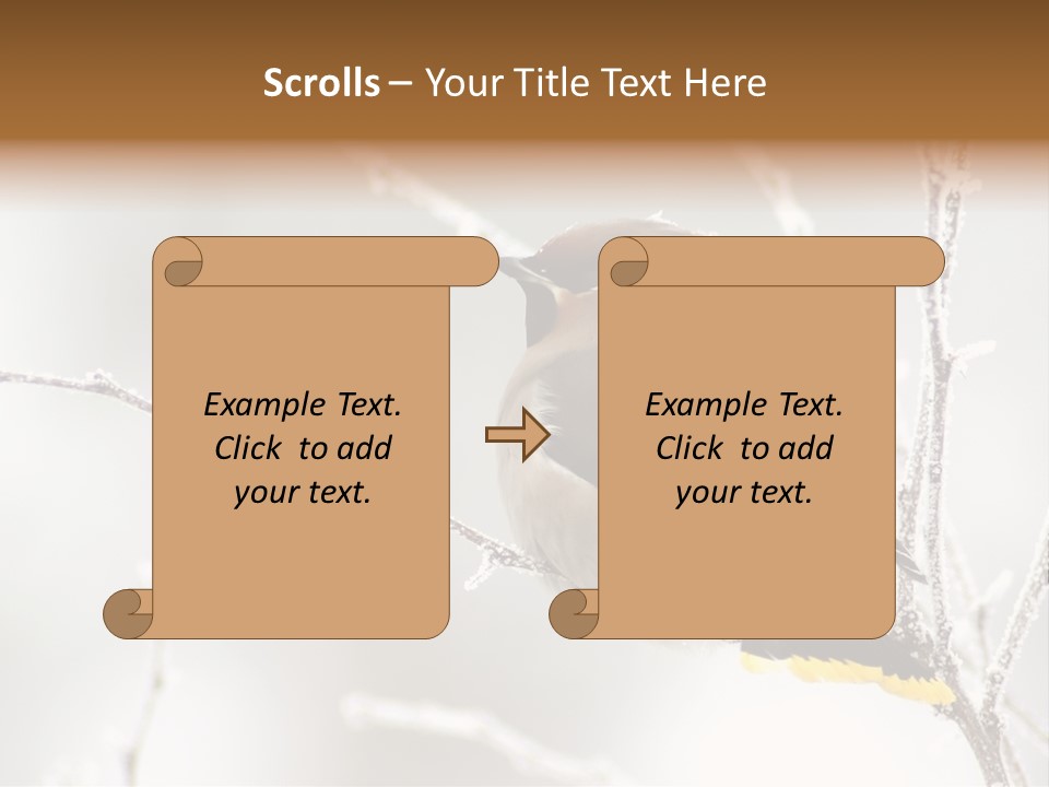 Waxwing PowerPoint Template