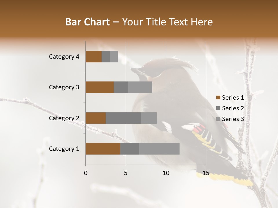 Waxwing PowerPoint Template