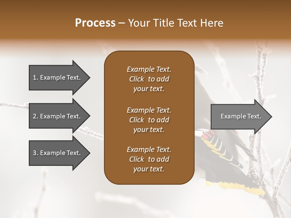 Waxwing PowerPoint Template