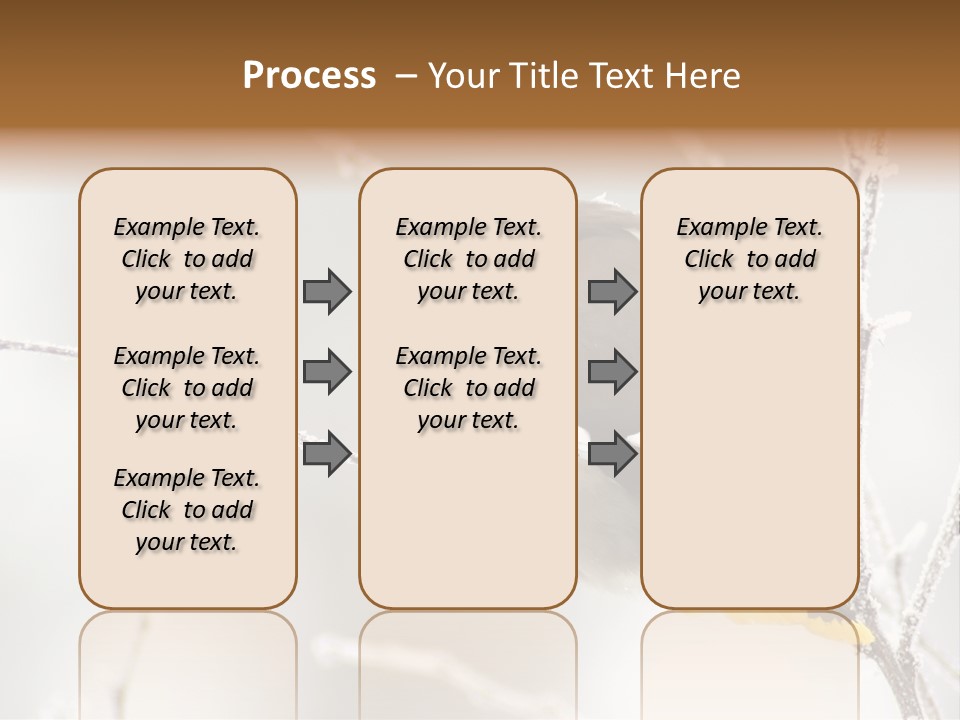 Waxwing PowerPoint Template