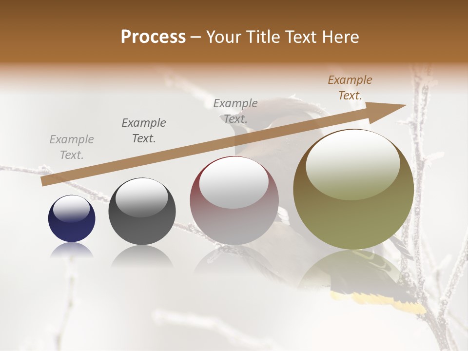 Waxwing PowerPoint Template