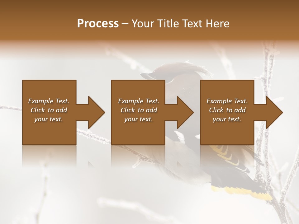 Waxwing PowerPoint Template