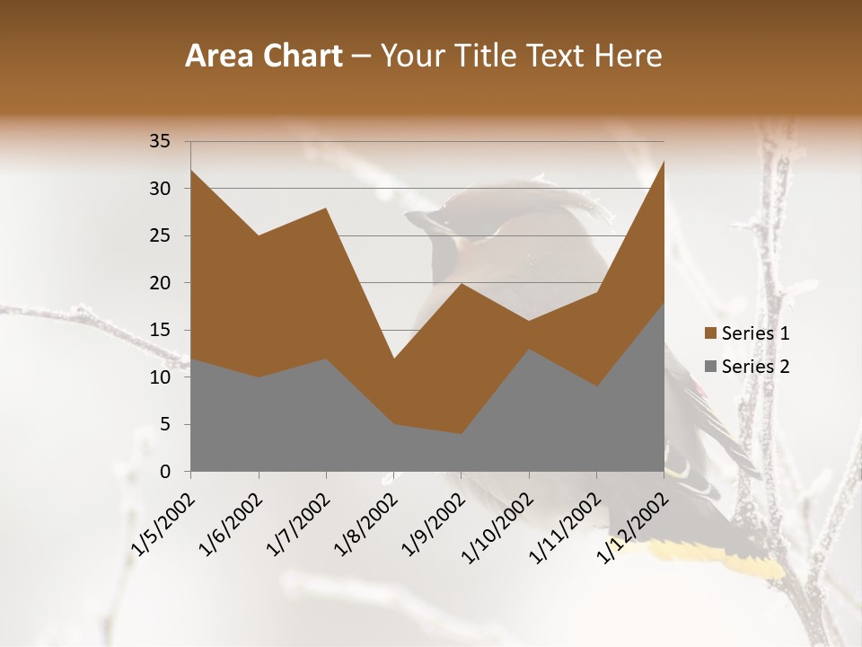 Waxwing PowerPoint Template