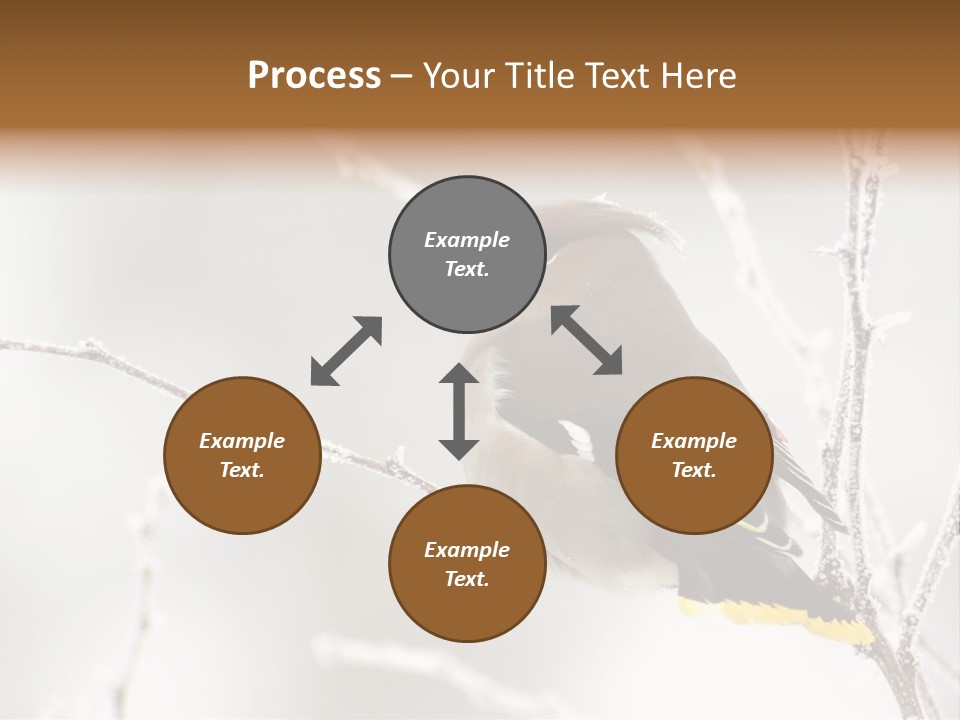 Waxwing PowerPoint Template