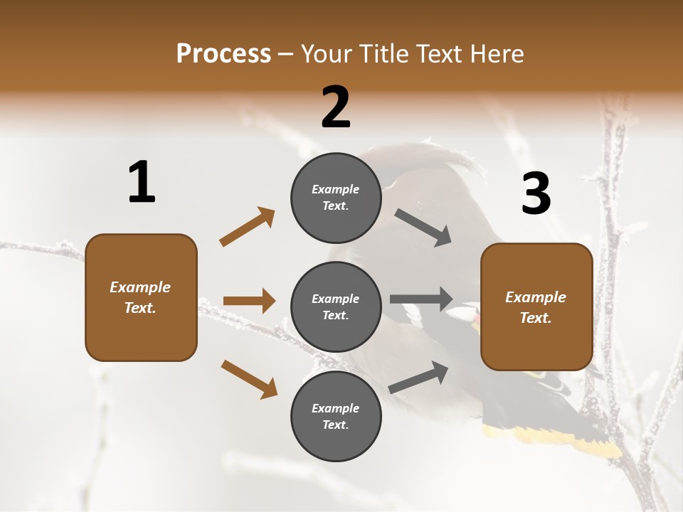 Waxwing PowerPoint Template