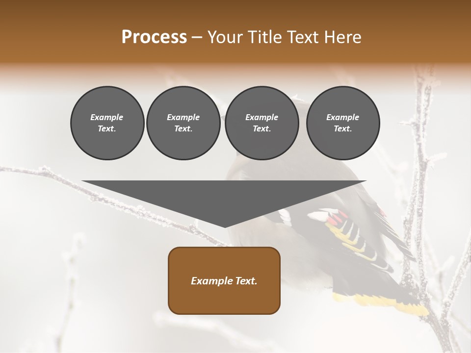 Waxwing PowerPoint Template