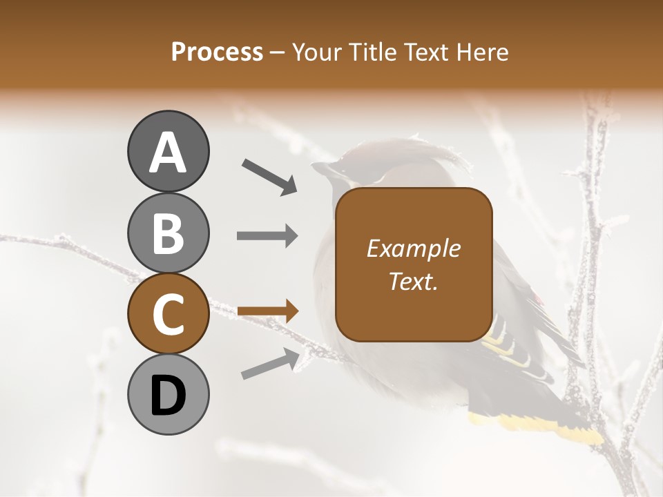 Waxwing PowerPoint Template