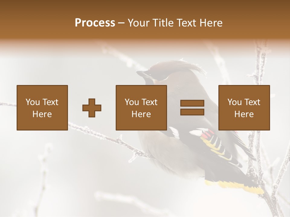 Waxwing PowerPoint Template