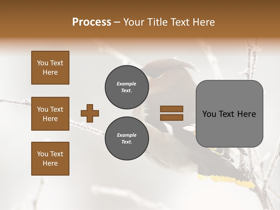 Waxwing PowerPoint Template