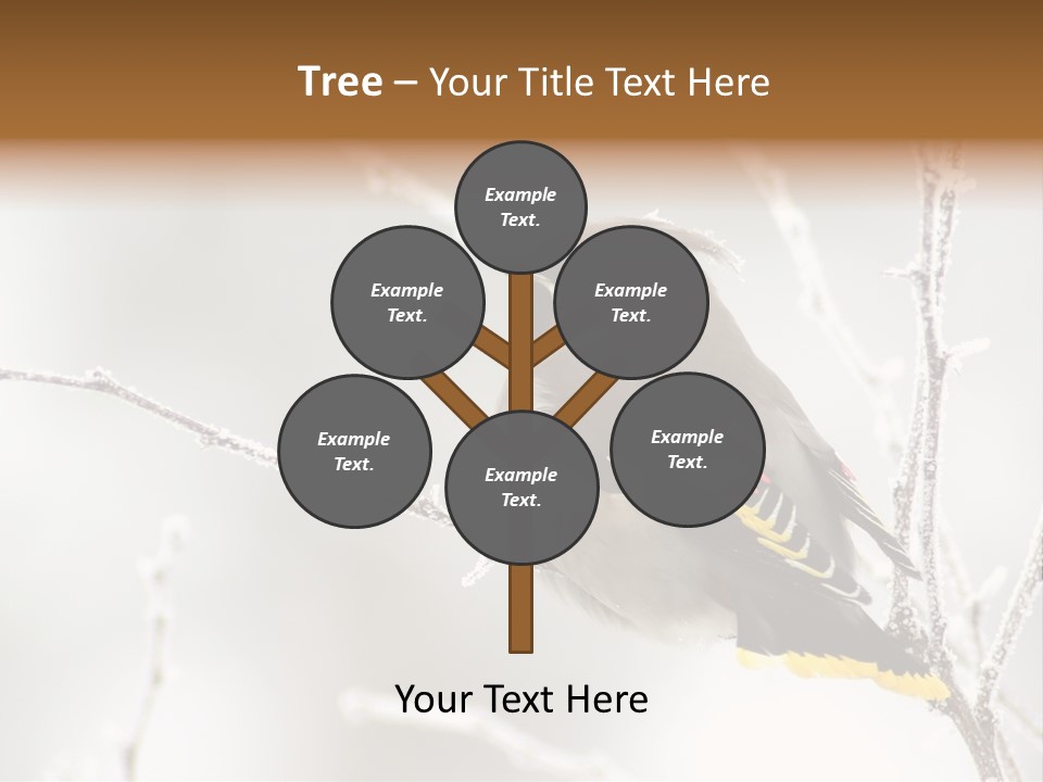 Waxwing PowerPoint Template