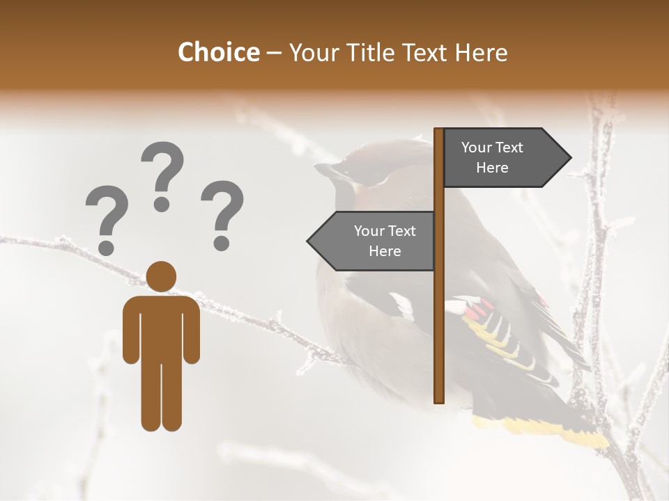Waxwing PowerPoint Template