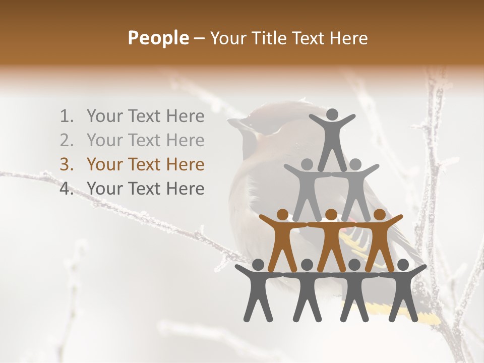 Waxwing PowerPoint Template