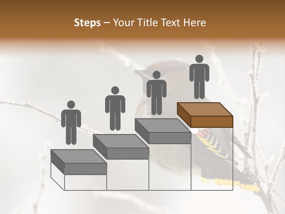 Waxwing PowerPoint Template