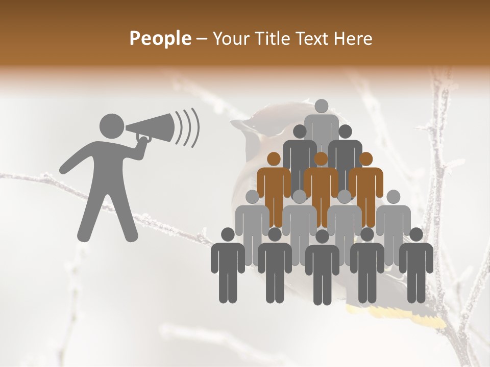 Waxwing PowerPoint Template